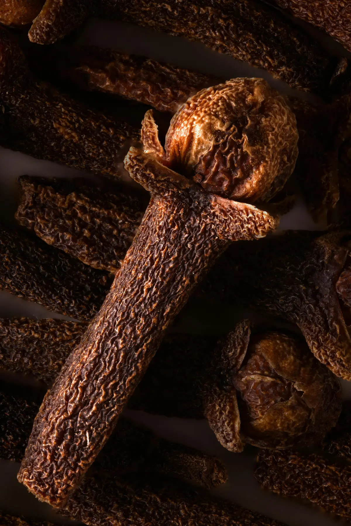 A large close up of a single cloves. Showing the intricate details of this unique spice.